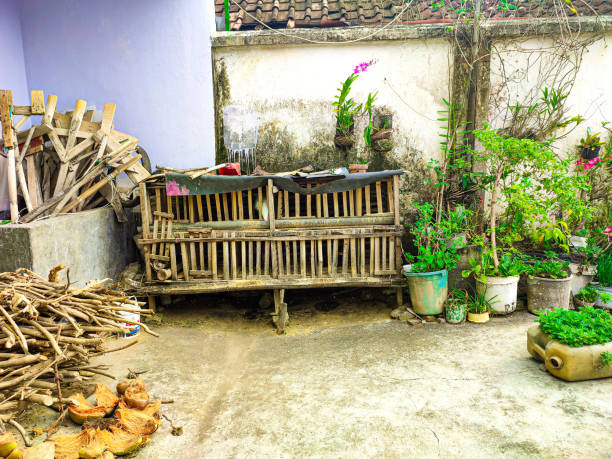 chicken coop - chicken house imagens e fotografias de stock