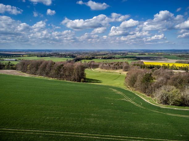 istock The Ridgeway near Wantage, Oxfordshire 1391799206