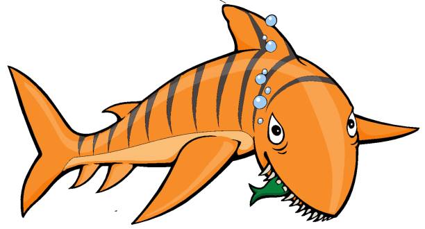cartoon orange tiger shark with stripes A orange tiger shark with black stripes. tiger shark stock illustrations