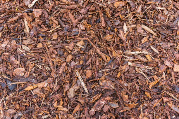 istock Natural brown wood bark 1391811449