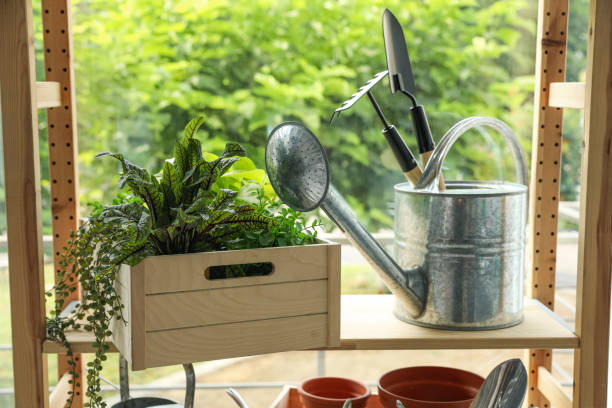 istock Beautiful plants and gardening tools on rack indoors 1391812258
