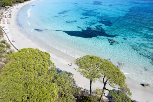 Photo of Palombaggia beach in Corsica
