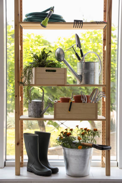 istock Beautiful plants and gardening tools on rack indoors 1391812485