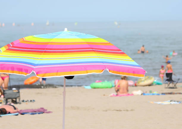 istock multicolor sunshade or parasol on the beach 1391813189