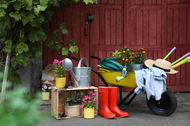 istock Beautiful plants and different gardening tools outdoors 1391813263