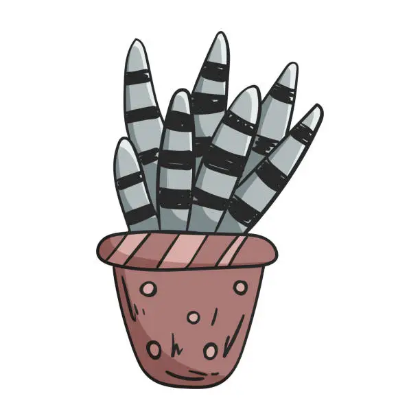 Vector illustration of Vector doodle illustration of a house plant succulent in a pot.
