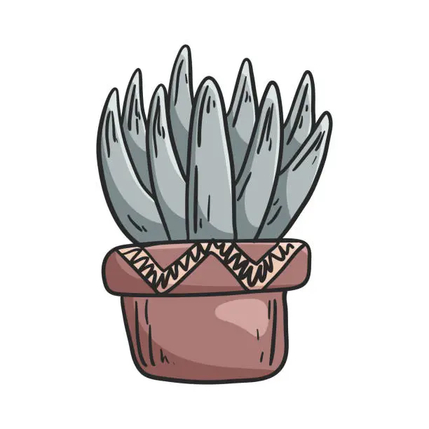 Vector illustration of Vector doodle illustration of a house plant succulent in a pot.