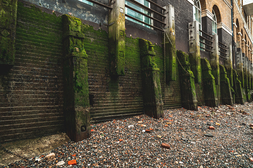 A detail of the riverbank in London. The river Thames is low tide. The wall is green from the seaweed