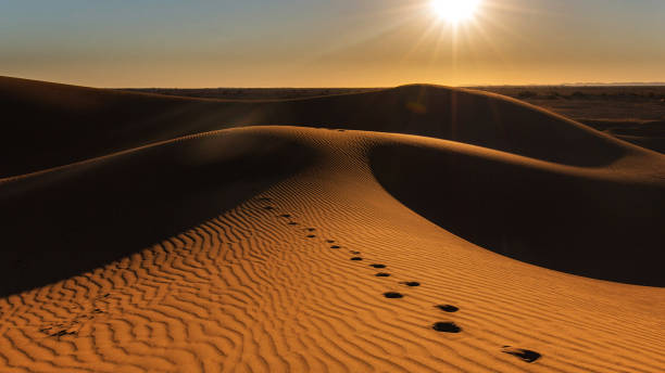 istock Beautiful  Sahara Desert pictures 1391816292