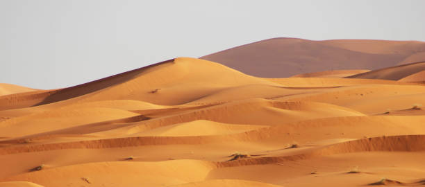 istock Beautiful  Sahara Desert pictures 1391816602