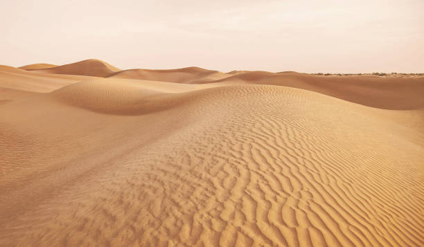 istock Beautiful  Sahara Desert pictures 1391816781