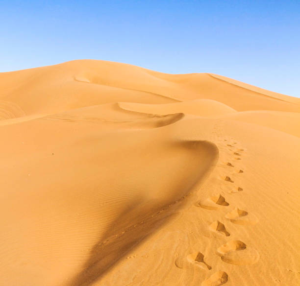 istock Sahara Desert pictures 1391818151