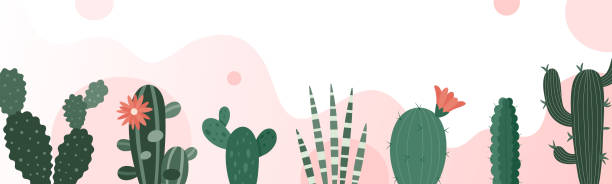 ilustraciones, imágenes clip art, dibujos animados e iconos de stock de bandera blanca horizontal con fondo de cactus del desierto. forma abstracta, conjunto de cactus y fondo blanco. ilustración vectorial natural. - abstract backgrounds botany cactus