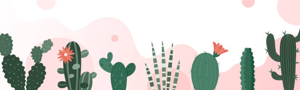 ilustrações, clipart, desenhos animados e ícones de bandeira branca horizontal com fundo de cactos do deserto. em forma abstrata, conjunto de cactos e fundo branco. ilustração vetorial natural. - abstract backgrounds botany cactus