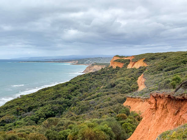 bells beach, great ocean road, victoria, australie - otway national park photos et images de collection