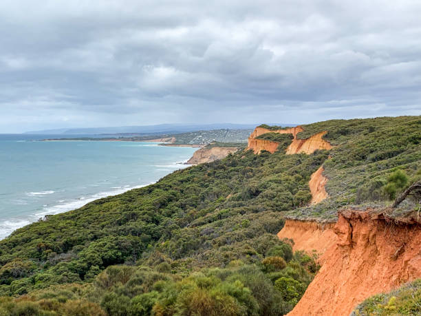 bells beach, great ocean road, victoria, australia - otway national park foto e immagini stock