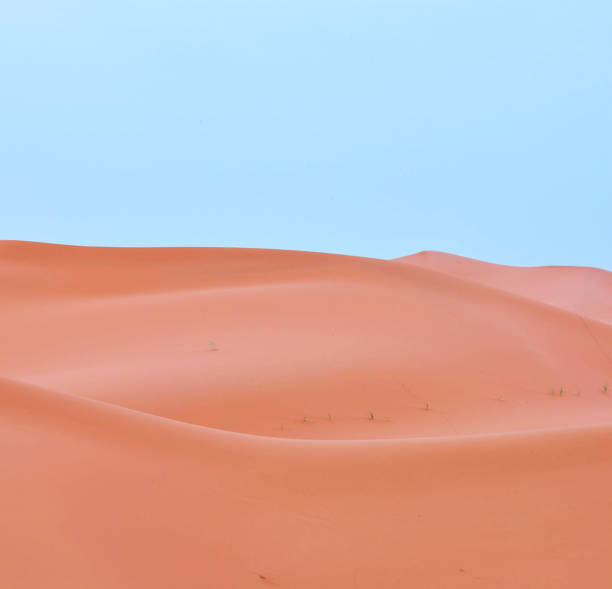 istock Beautiful  Sahara Desert pictures 1391820222