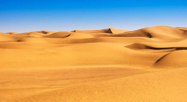 istock Beautiful  Sahara Desert pictures 1391820232
