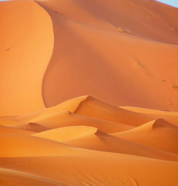 istock Beautiful  Sahara Desert pictures 1391820331