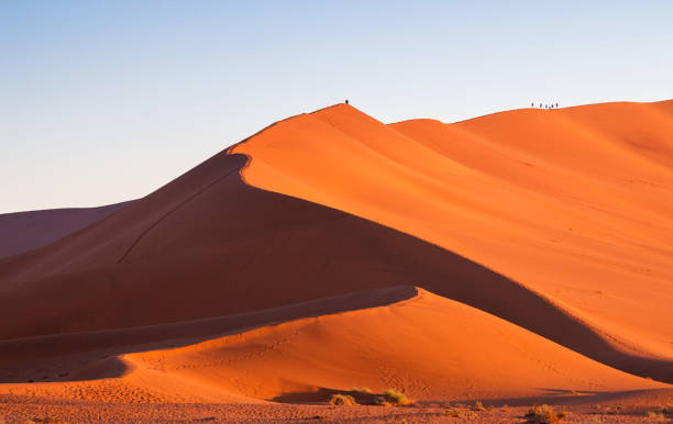 istock Sahara Desert pictures 1391823473