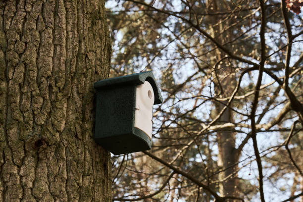istock Bird house made of recycled plastic 1391824381