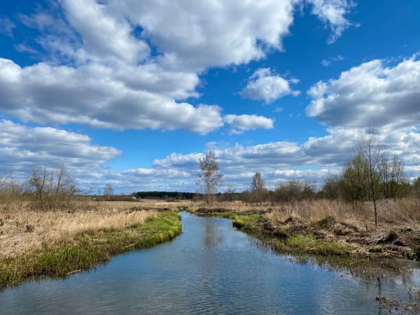 istock Scenics nature Poland 1391824419