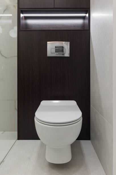 istock White toilet bowl in a bathroom 1391825733