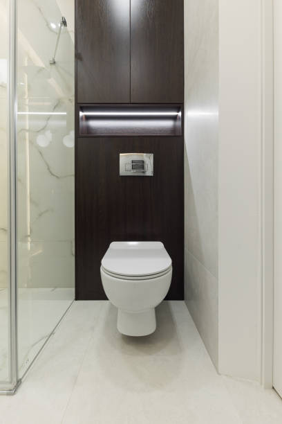 istock White toilet bowl in a bathroom 1391825735