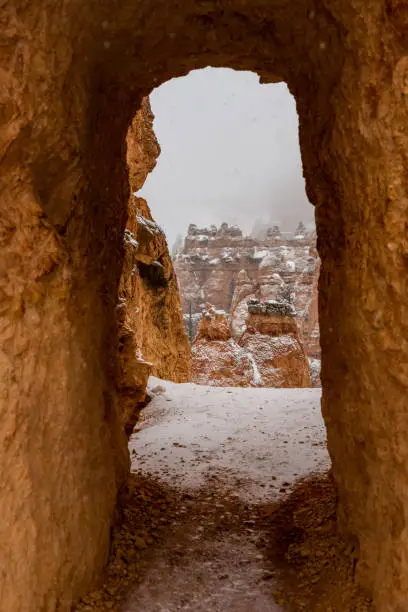 Photo of Snow Dusted hoodoos in Bryce canyon