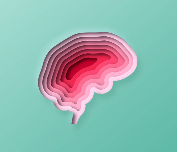 Brain Textured Paper 520+ Layered Paper Brain Stock Photos, Pictures & Royalty-Free Images ...