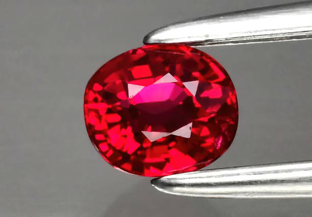 istock Natural precious red ruby in tongs on a gray background 1391832791