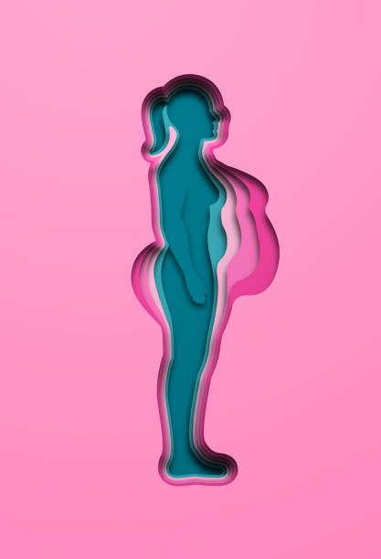 ilustrações de stock, clip art, desenhos animados e ícones de paper cut fat woman in full body profile view - fat layer