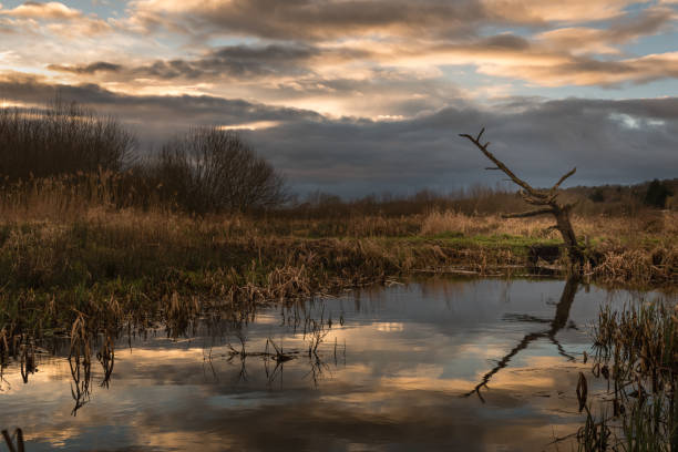 istock Thorpe marshes in stormy light V 1391836703