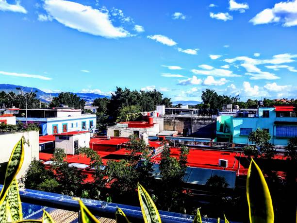 istock Rooftop  floral garden 1391848420