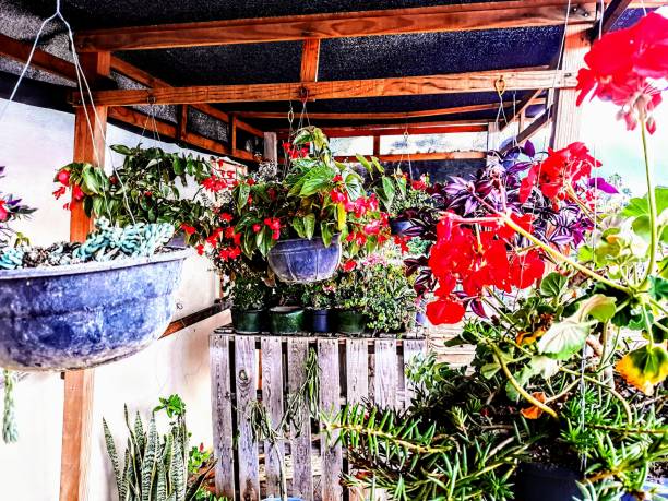 istock Rooftop  floral garden 1391848436