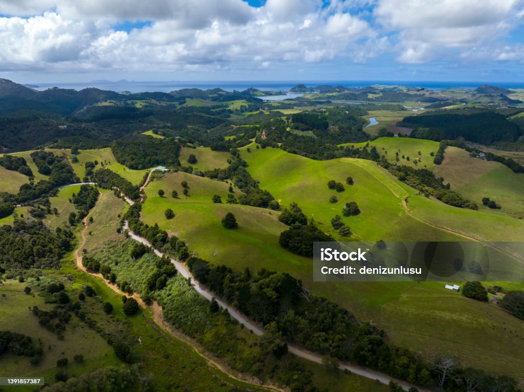 Aerial view of a suburb in New Zealand Above Stock Photo