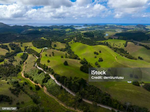 Aerial View Of A Suburb In New Zealand Stock Photo - Download Image Now - Above, Landscape - Scenery, Sea