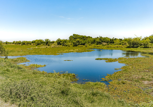 Recently opened, The Ibera Wetlands National Park, covers 1,381.4 km². Iberá National Park protects a portion of the Iberá wetlands and adjacent grassland, savanna, and forest.