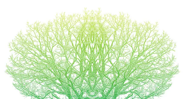 Vector illustration of Bare tree background