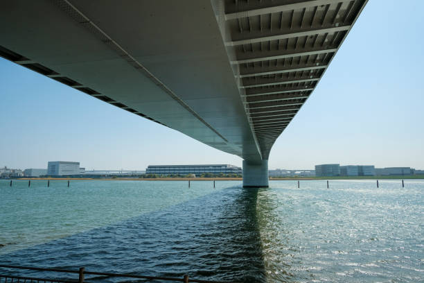 istock Estuary of the Tama River 1391873598
