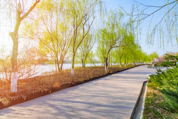 istock Outdoor park road landscape 1391875107