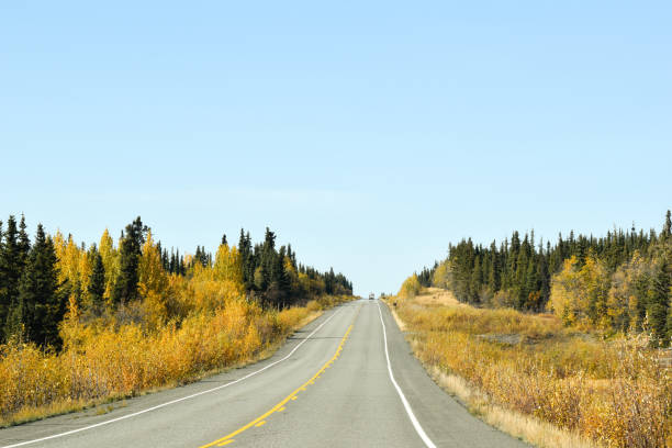 istock Traveling Across Alaska in Fall 1391881752