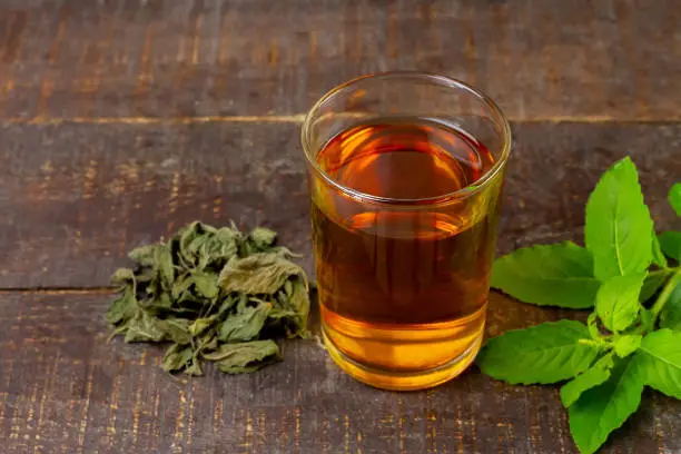 Tulsi or holy basil tea in transparent cup with fresh and dry tulsi leaf on rustic wooden background. Ayurvedic medicine in India. Drink for health.