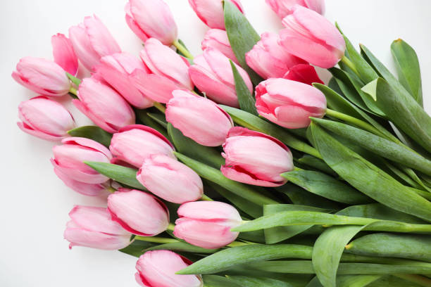 istock spring bouquet.  bouquet of pink tulips on a white background 1391886395