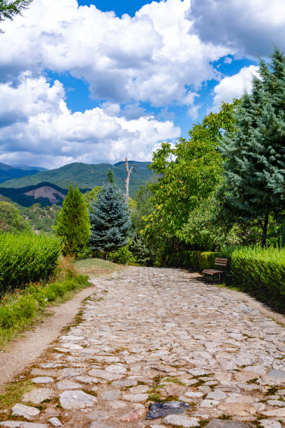 istock Pavement pathway through the trees into the mountains in a bright white cloudy summer day 1391892476