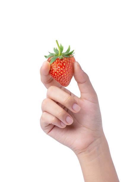 istock hand holding fresh red strawberry 1391892948