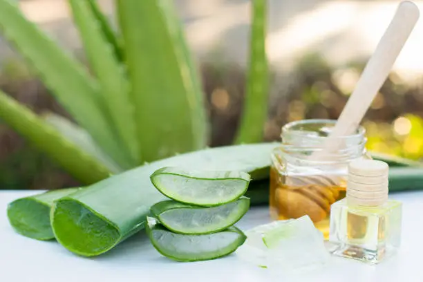 Aloe vera leaf with aloevera gel and honey on wooden table with green nature background.