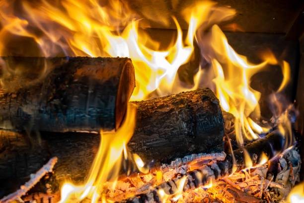 istock burning birch wood with a visible texture. background 1391895632