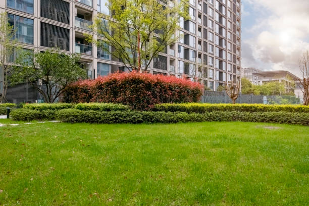 istock Lawn in residential area 1391896371