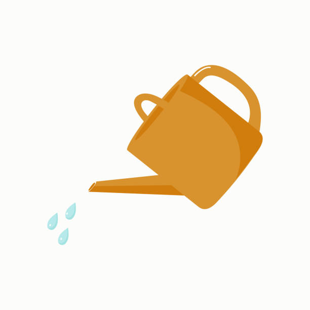 ilustrações de stock, clip art, desenhos animados e ícones de watering can. - watering can
